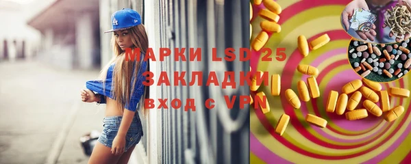 ПСИЛОЦИБИНОВЫЕ ГРИБЫ Балахна