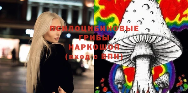 ПСИЛОЦИБИНОВЫЕ ГРИБЫ Балахна