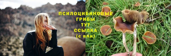 индика Сатка