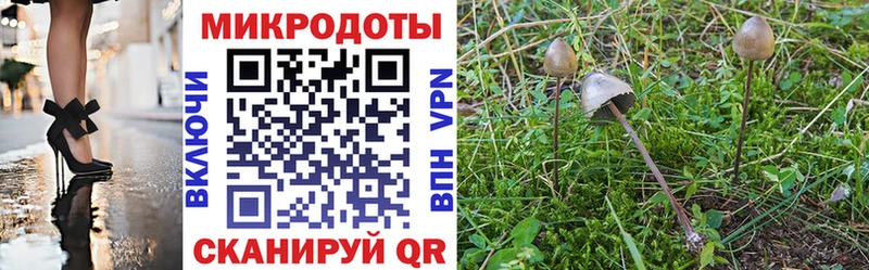 сколько стоит  Плёс  Псилоцибиновые грибы MAGIC MUSHROOMS 