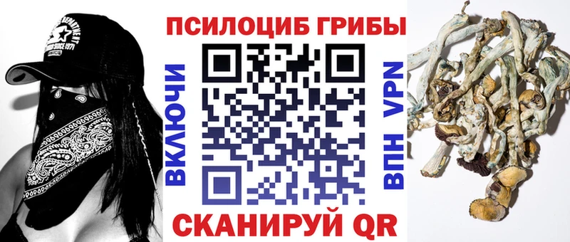 Галлюциногенные грибы Psilocybine cubensis Плёс